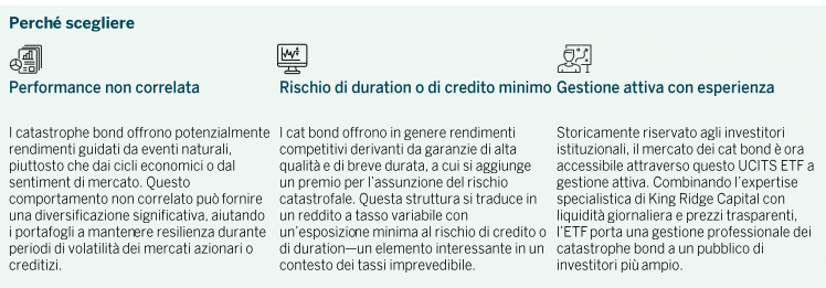 cat bond cosa sono